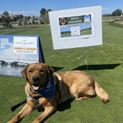 IHDI Hearing Dog Umber at Golf Tournament