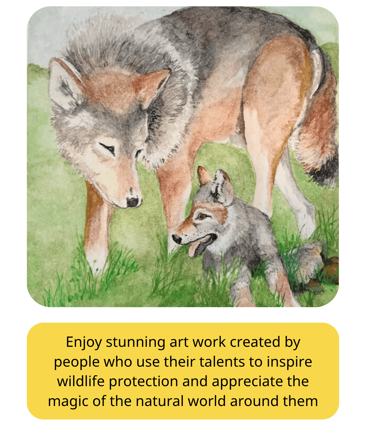 Watercolor drawing of an American Red Wolf adult and pup