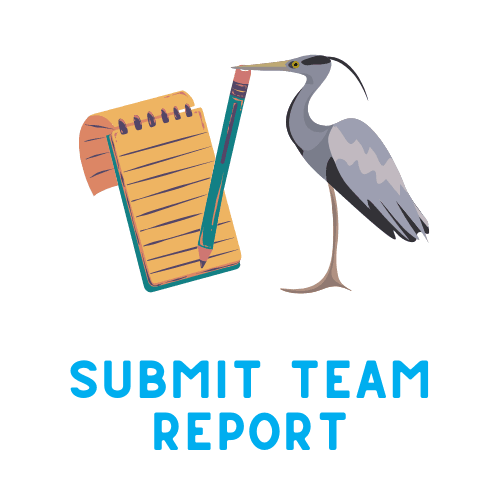 Submit Team report