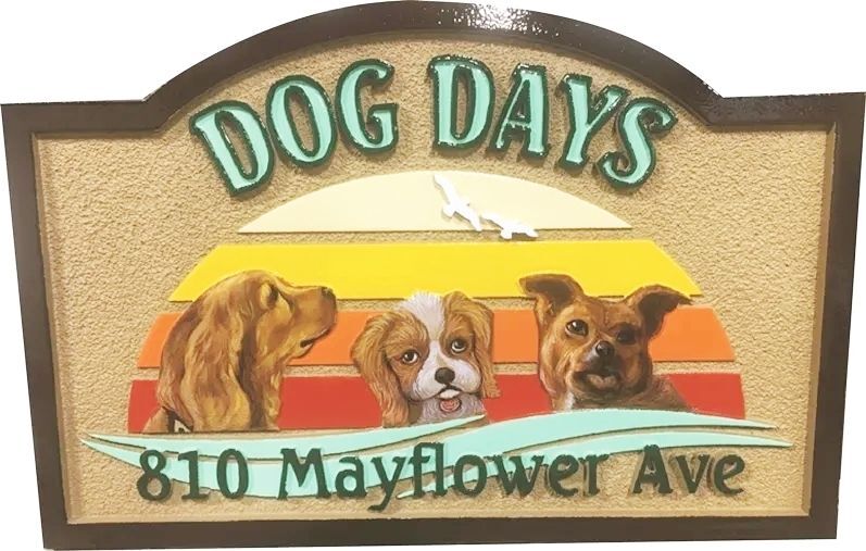MB1005- Residence Address  Sign "Dog Days"