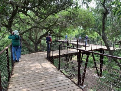 High Island Smith Oaks Canopy Walk Volunteers