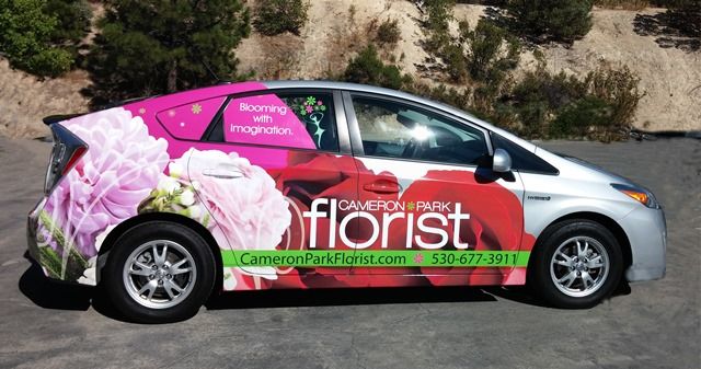 Vehicle Graphics and Lettering