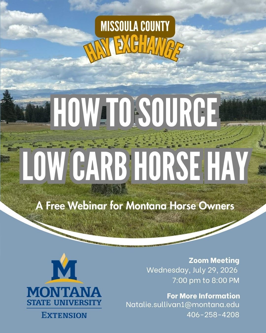 How to Source Low Carb Horse Hay Webinar Details