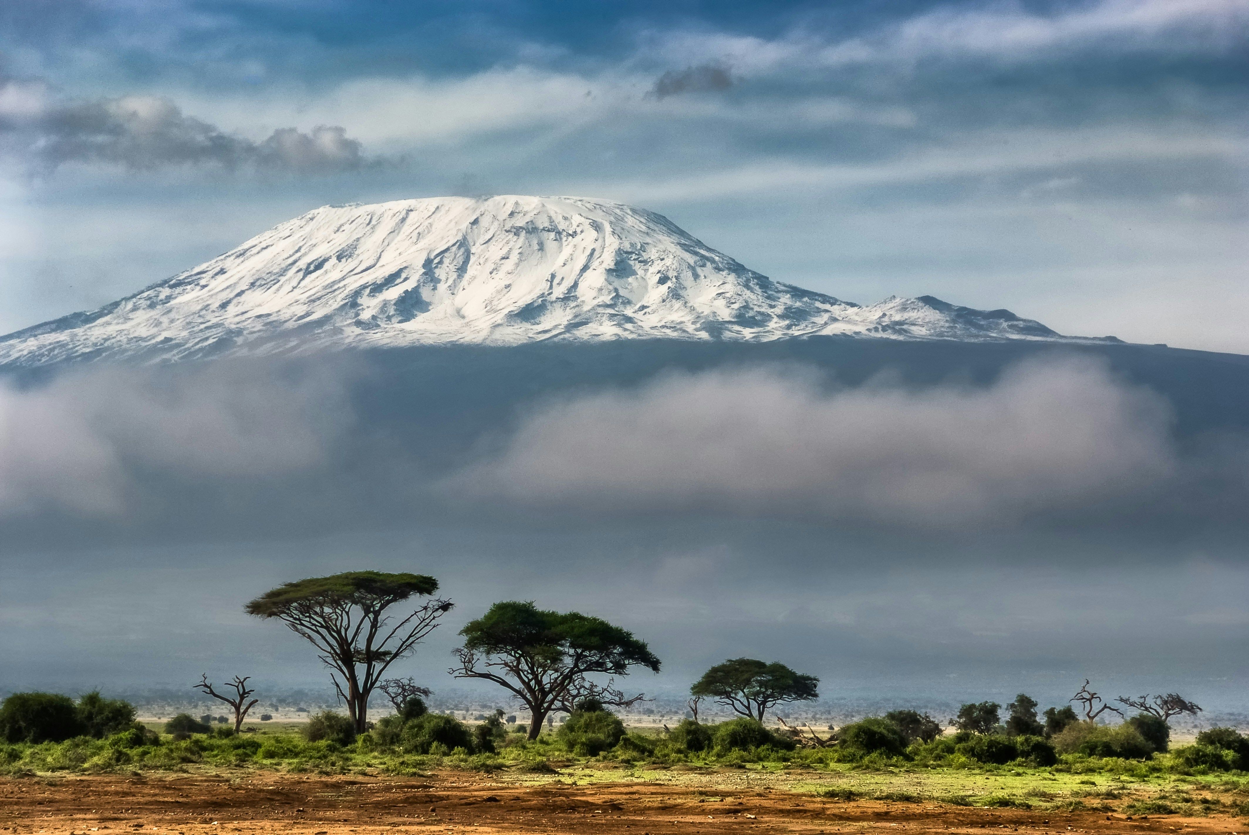 Tin Mountain Adventure Program 2026 - Kilimanjaro Trek & Tanzania Safari