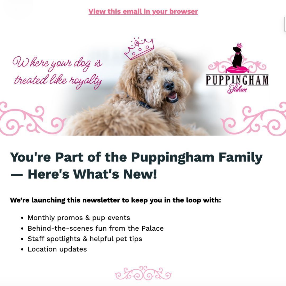 How to Create an Email Marketing Campaign