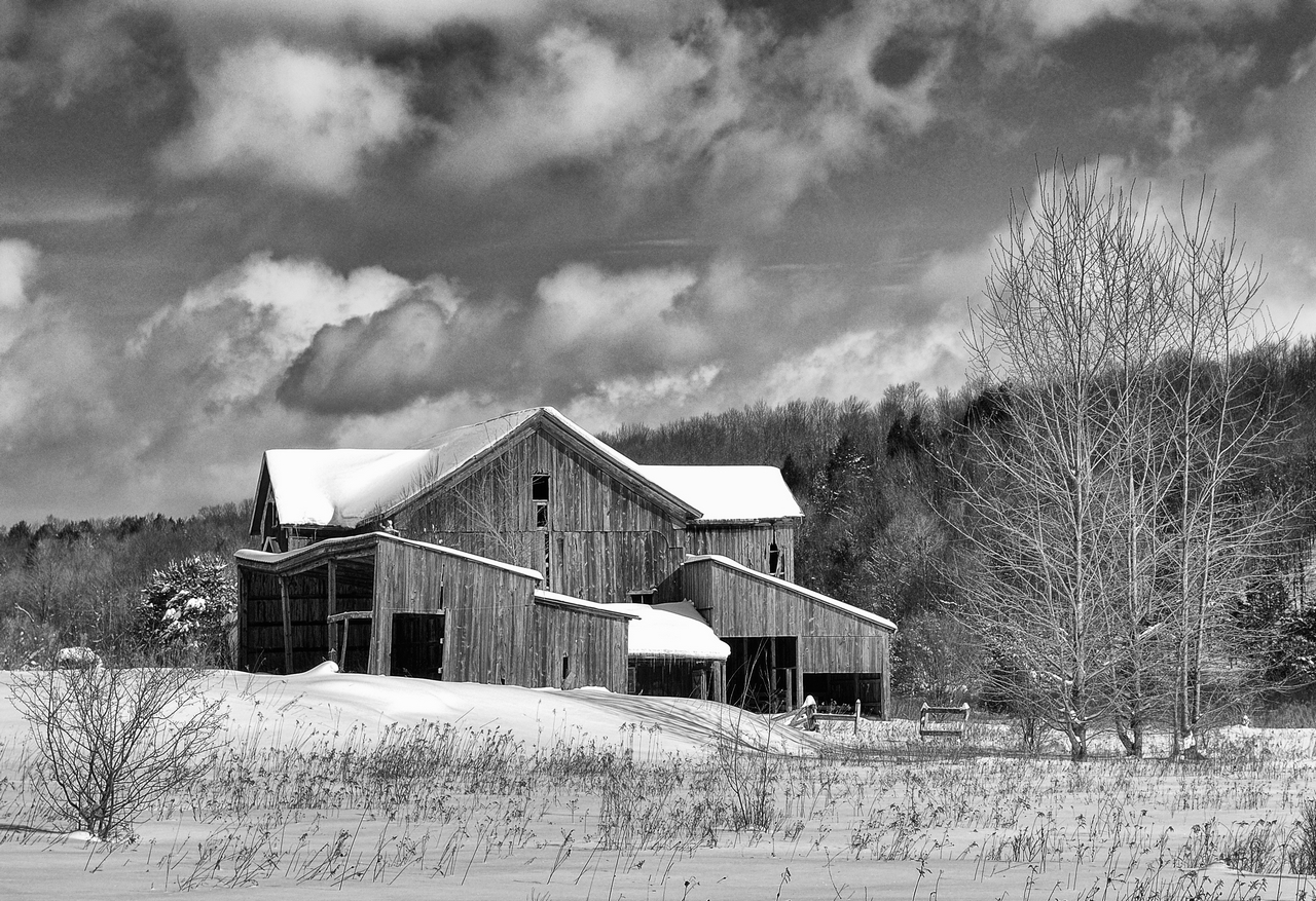 Bill McLaughlin “Close to Home” Gallery Exhibit