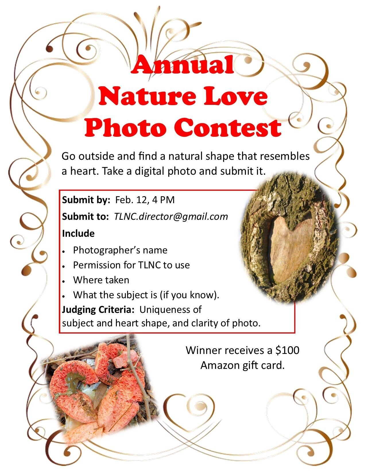 Nature Love Photo Contest