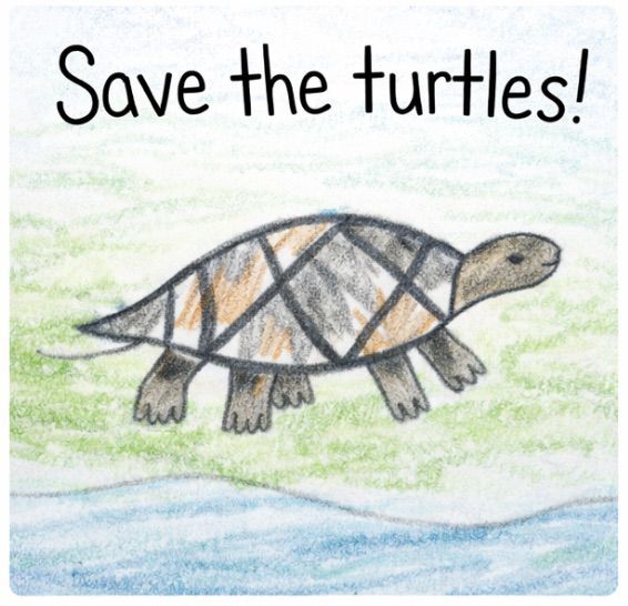 Wildlife Awareness Stickers