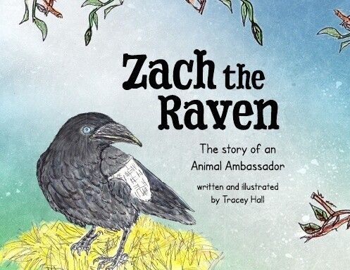 Zach the Raven