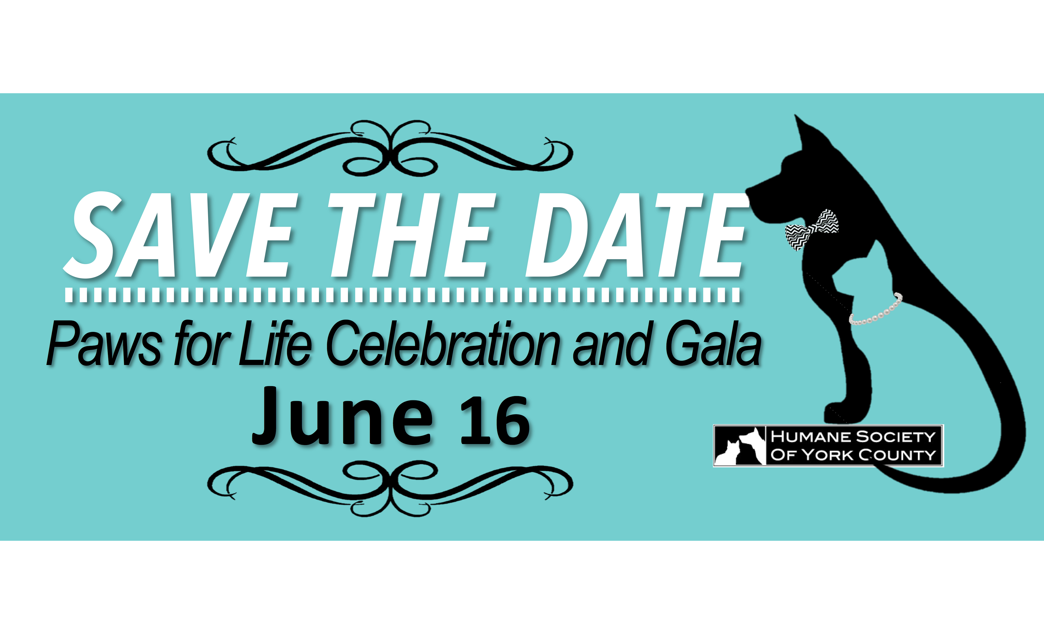 Paws for Life Celebration Gala