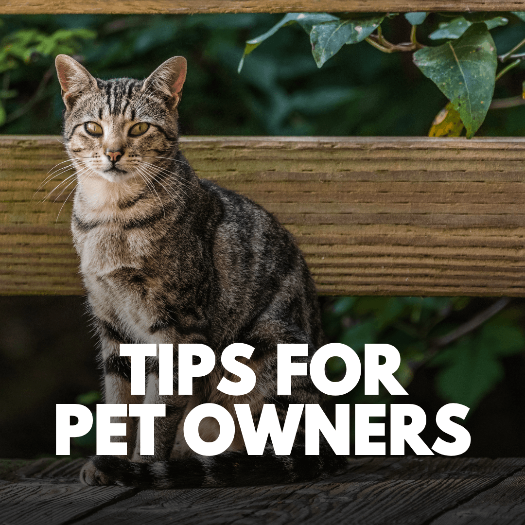 Tips for Pet Owners