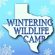 Wintering Wildlife Camp