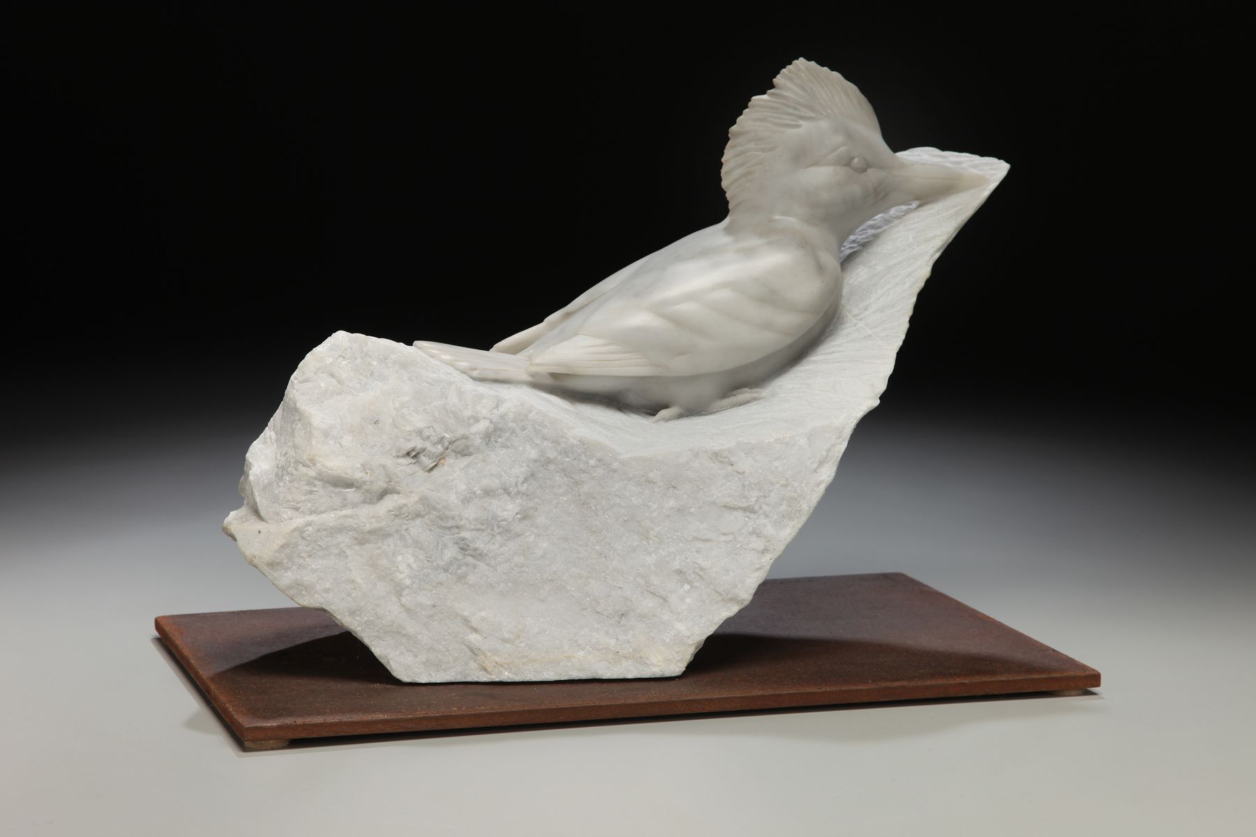 Kingfisher: Still as Stone