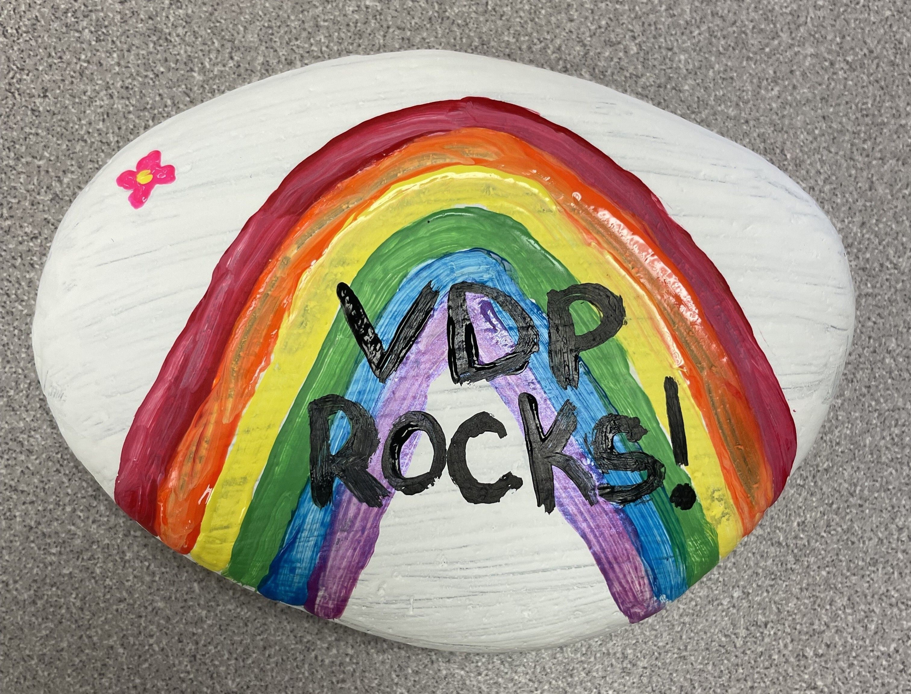 Viking Discovery Program