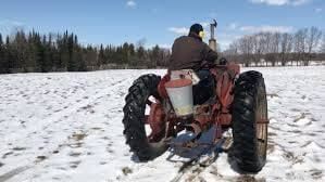 Frost Seeding Offers a Practical Path to Native Prairies in Madison County