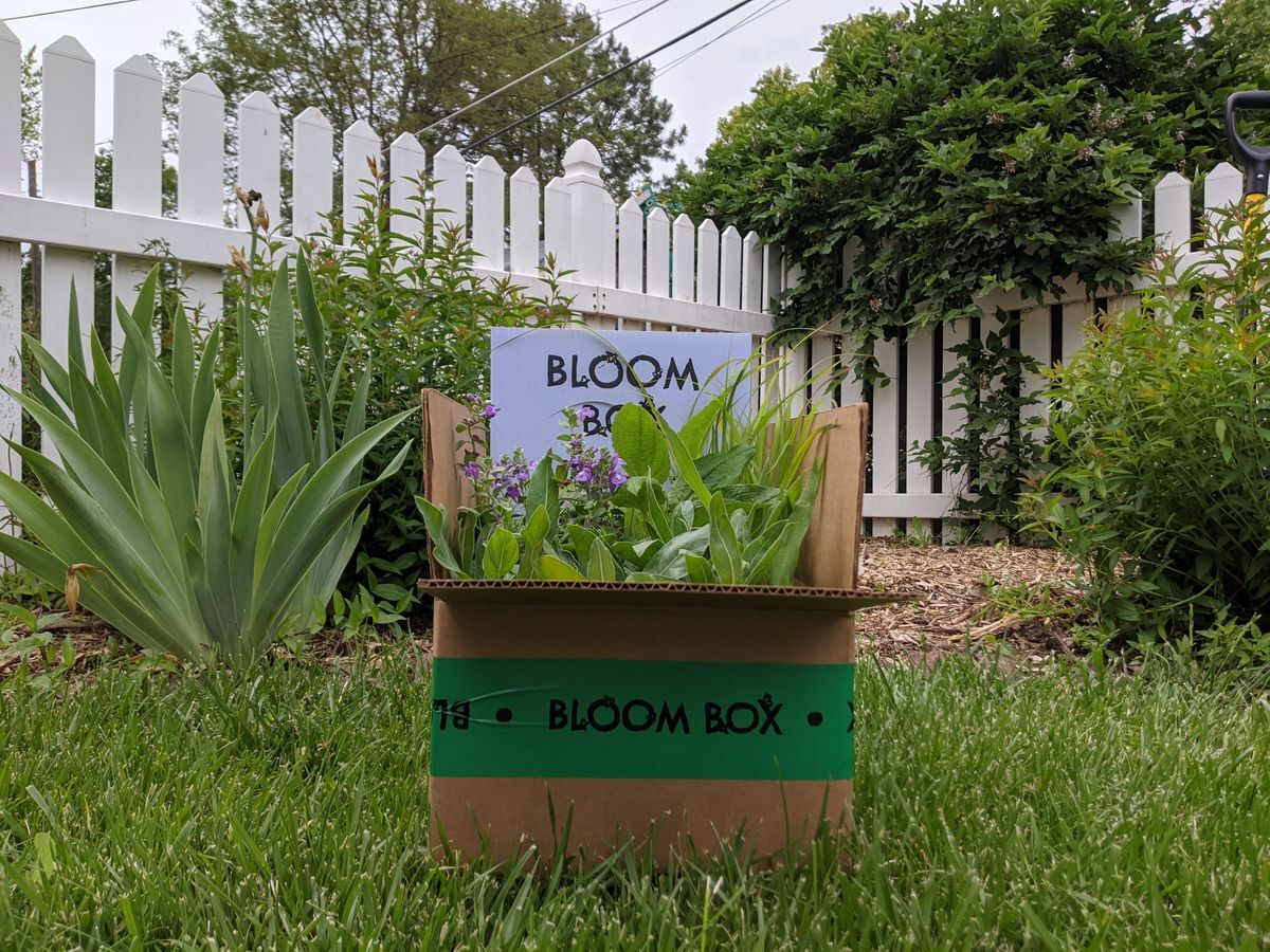 Beyond Bloom Box : Bloom Box : What We Do : Nebraska Statewide Arboretum