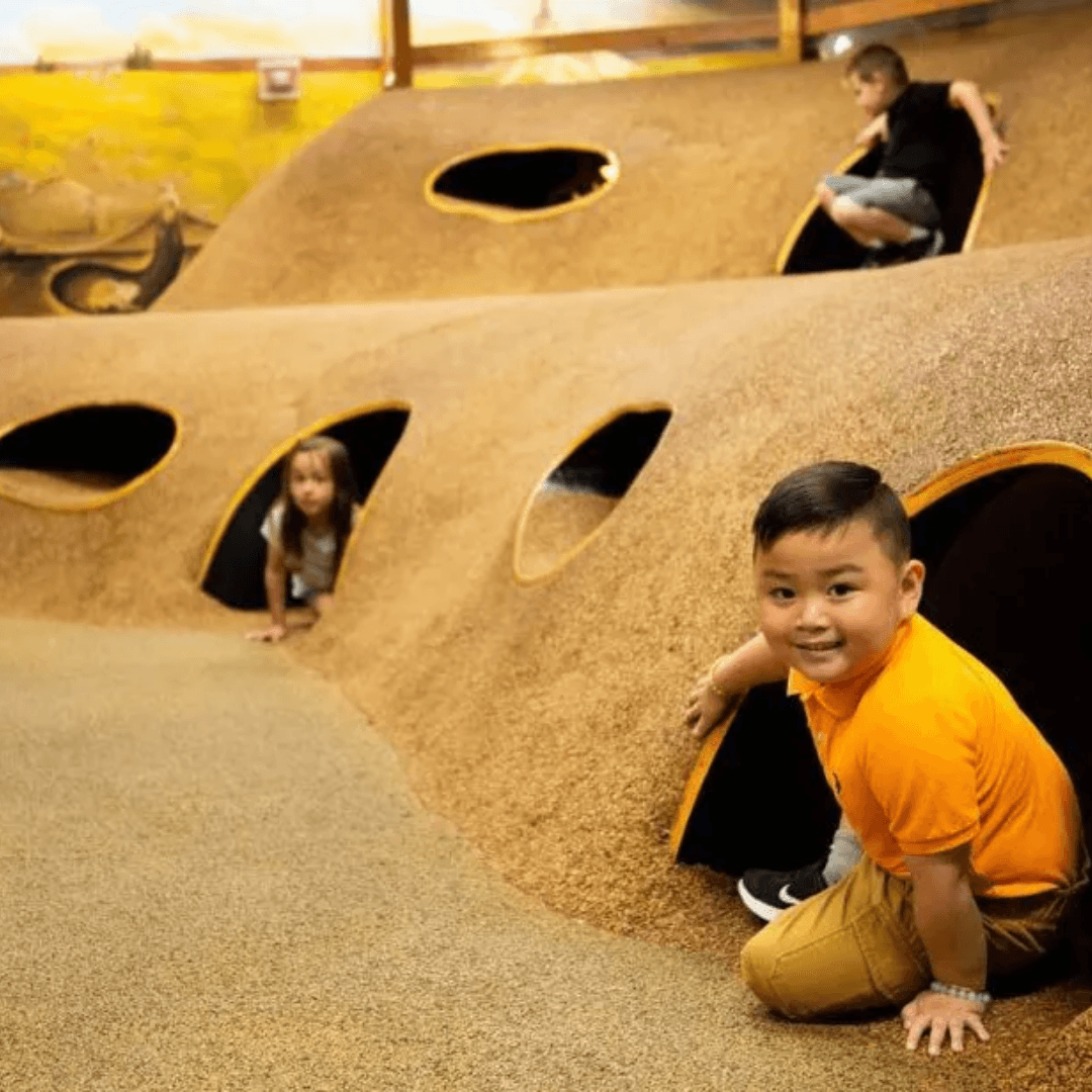 Prairie Dog Tunnels