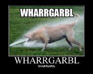 A dog sticking his face in front of a hose with the caption "Wharrgarbl"