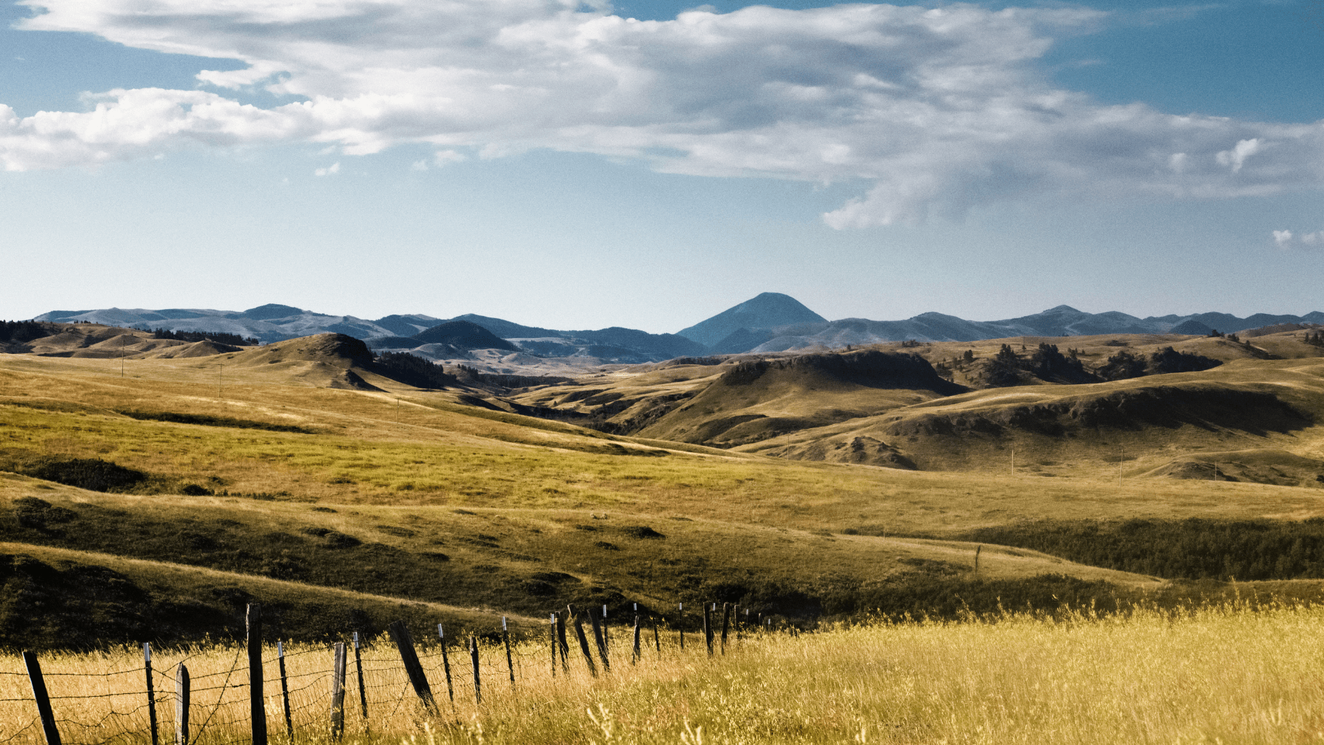 2025 Lewis & Clark Community Health Improvement Plan