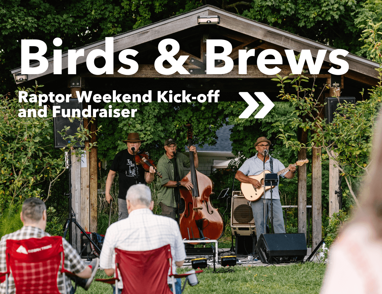 Birds & Brews