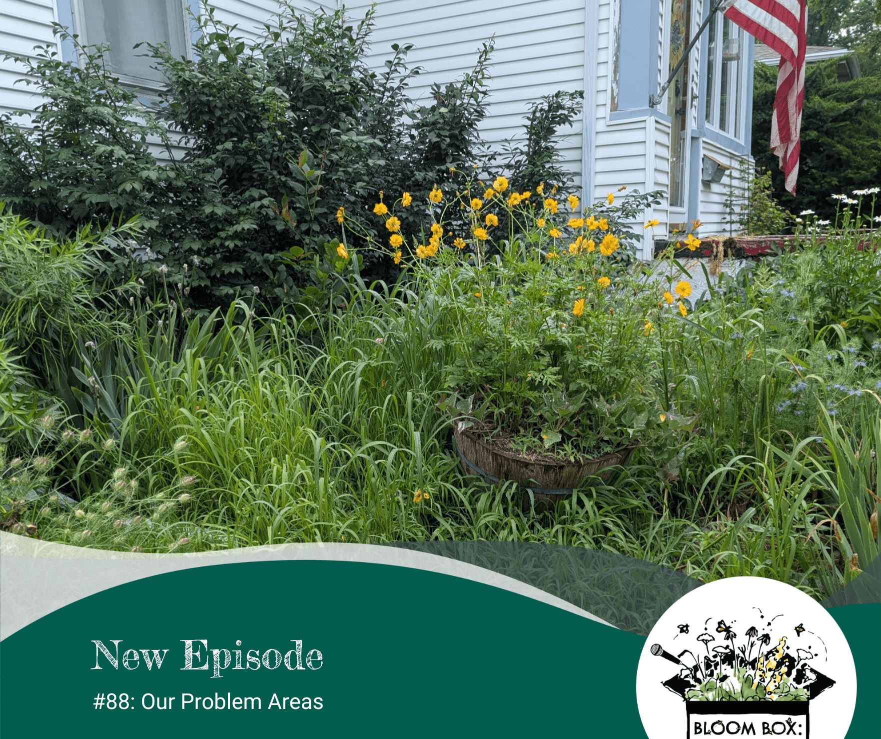 #88: Our Problem Areas
