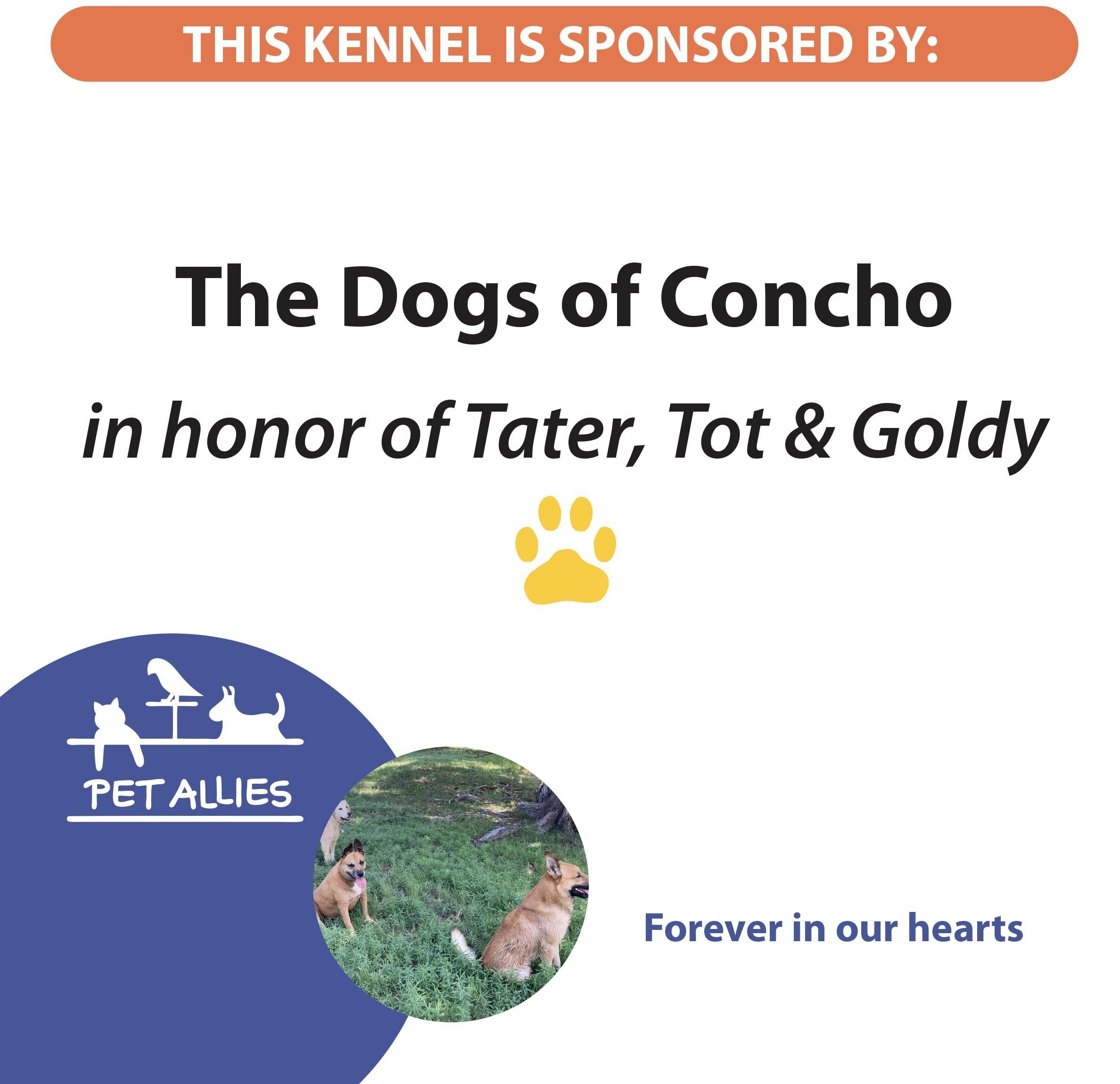 Dogs of Concho
