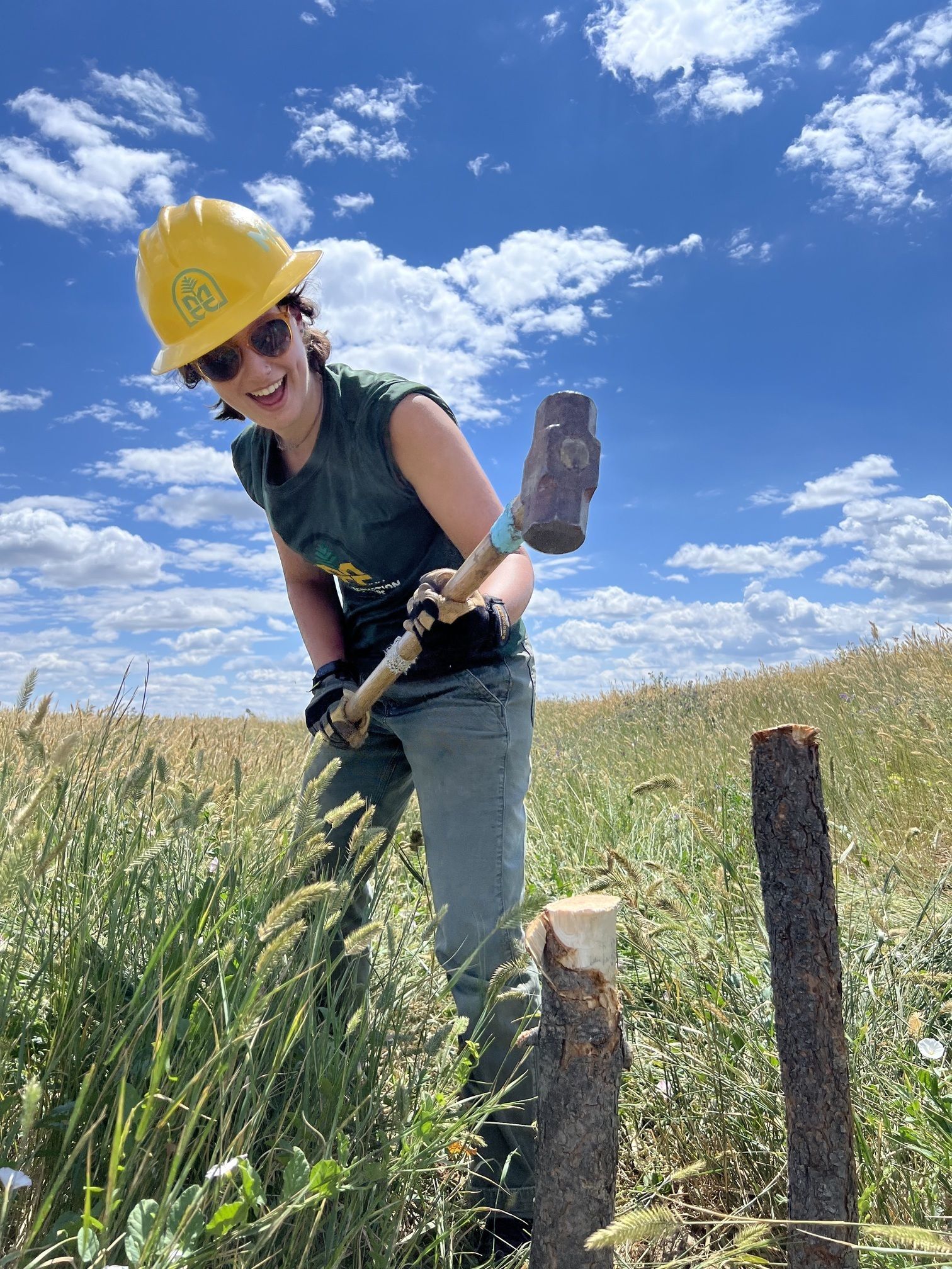 A youth crew member lowers a sledge hammer onto a wooden stake stuck into the ground. Around her is tall prairie grass.
