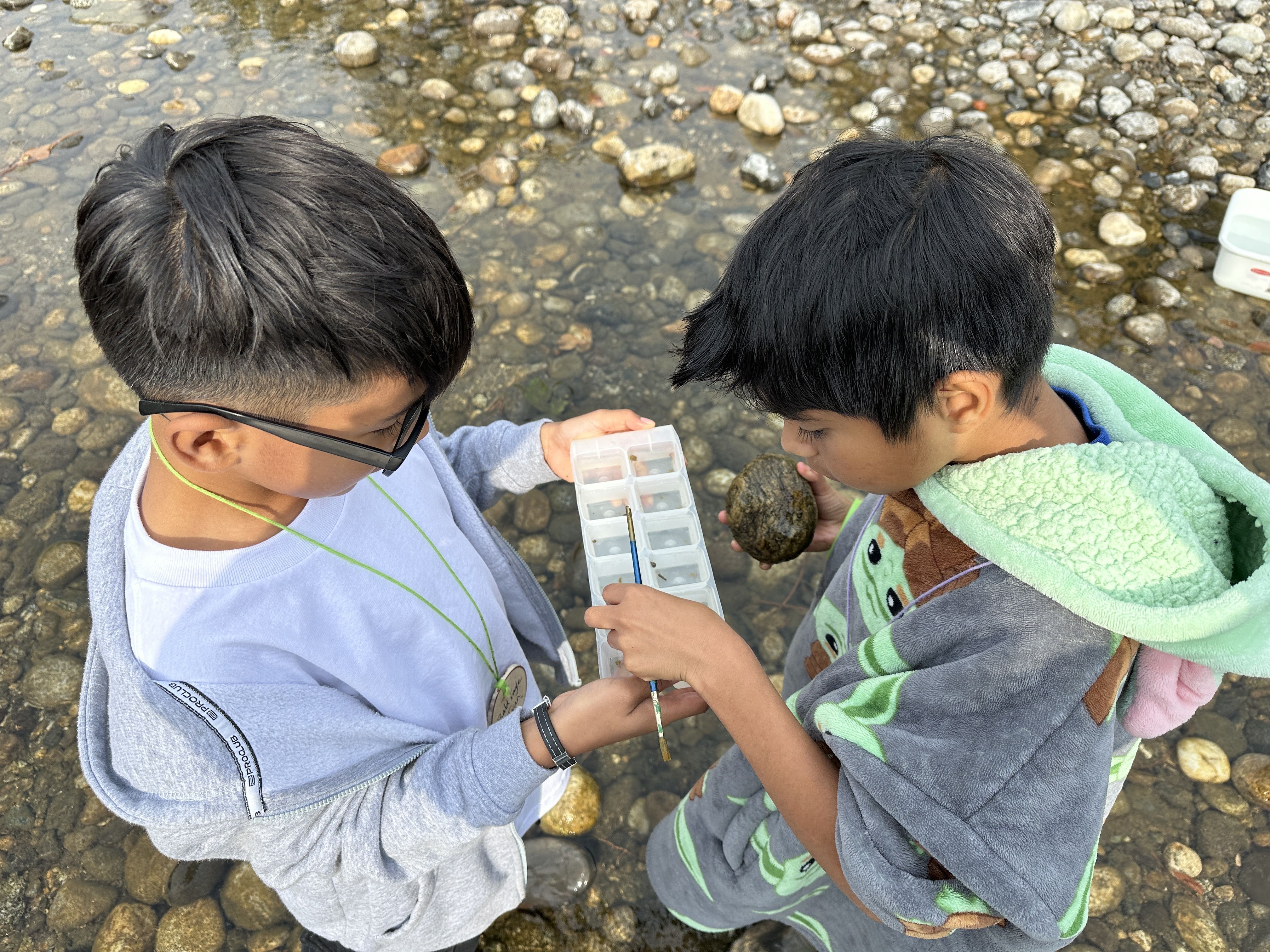Youth Programs