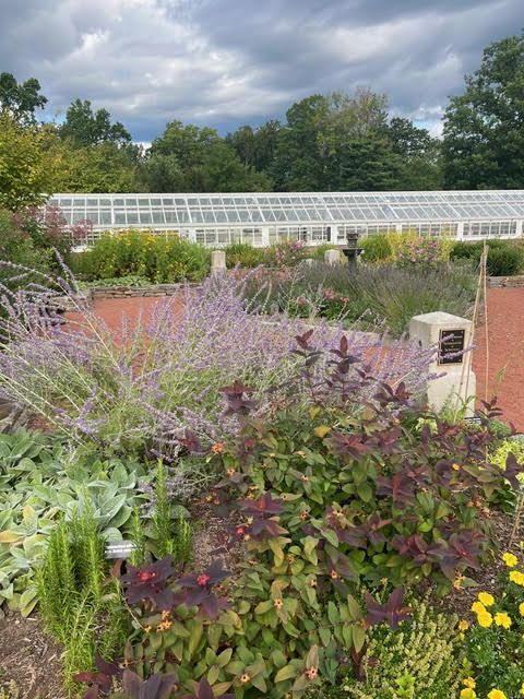 Elizabeth Park in West Hartford CT