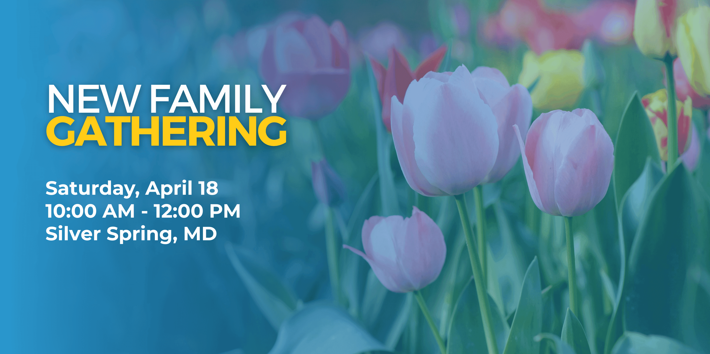 Let's get acquainted!