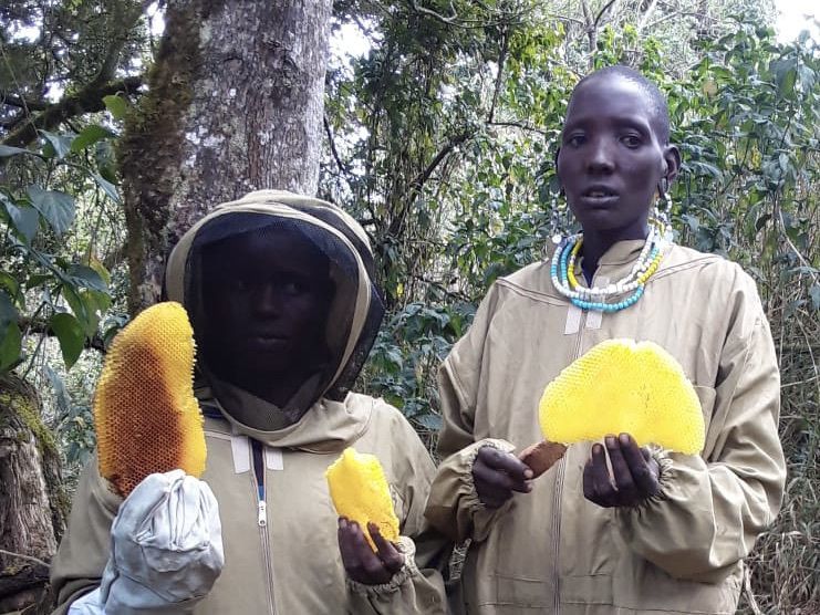 Join Masai Women Honey Business